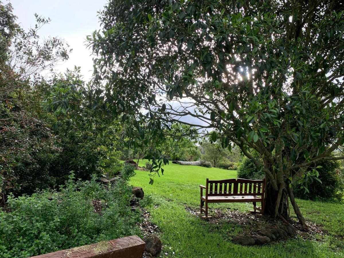 Cedarview Bed & Breakfast Beechmont 외부 사진